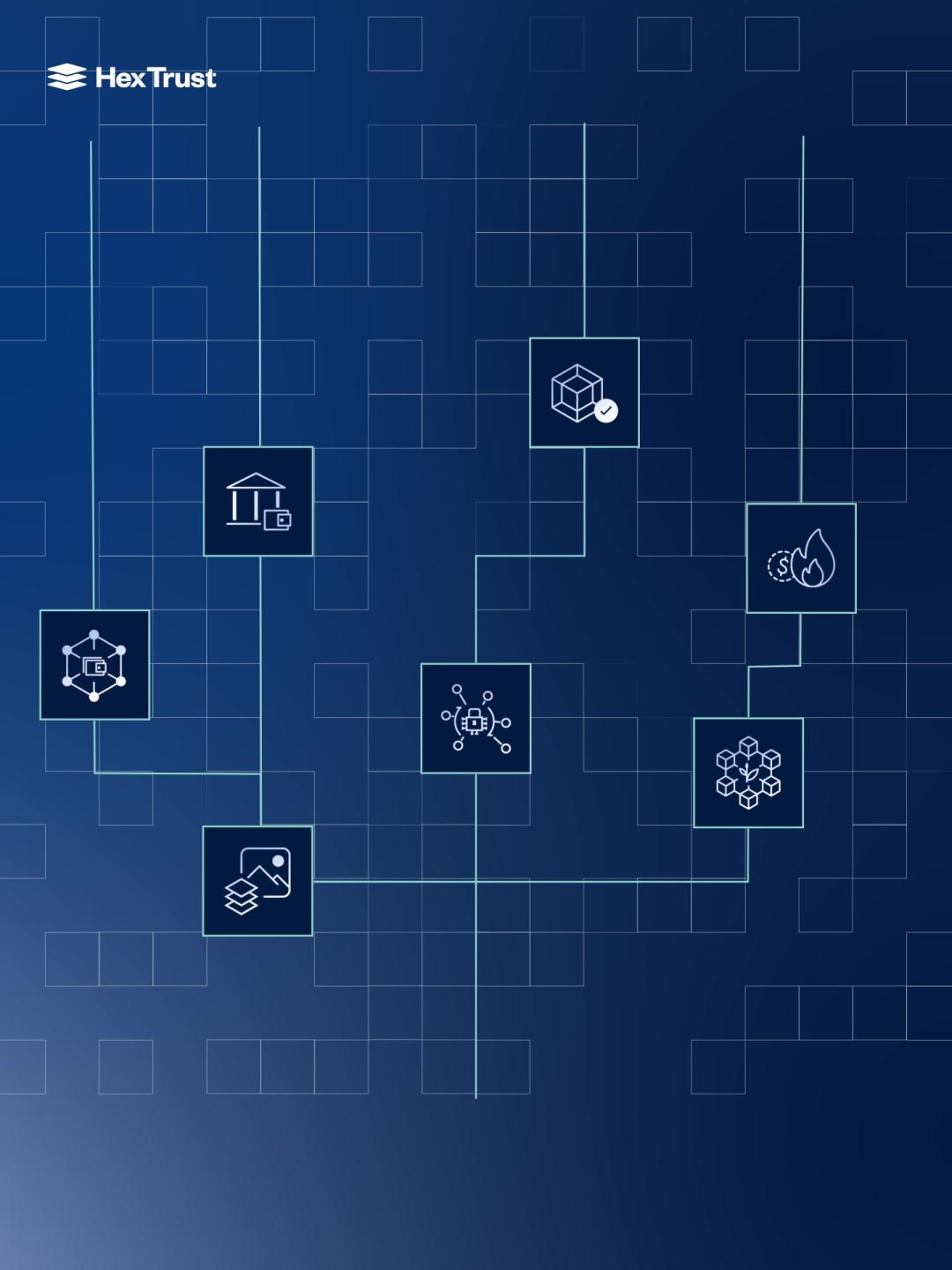 Hex Trust Brand Video, Vertical: Custody Solutions Icon Network