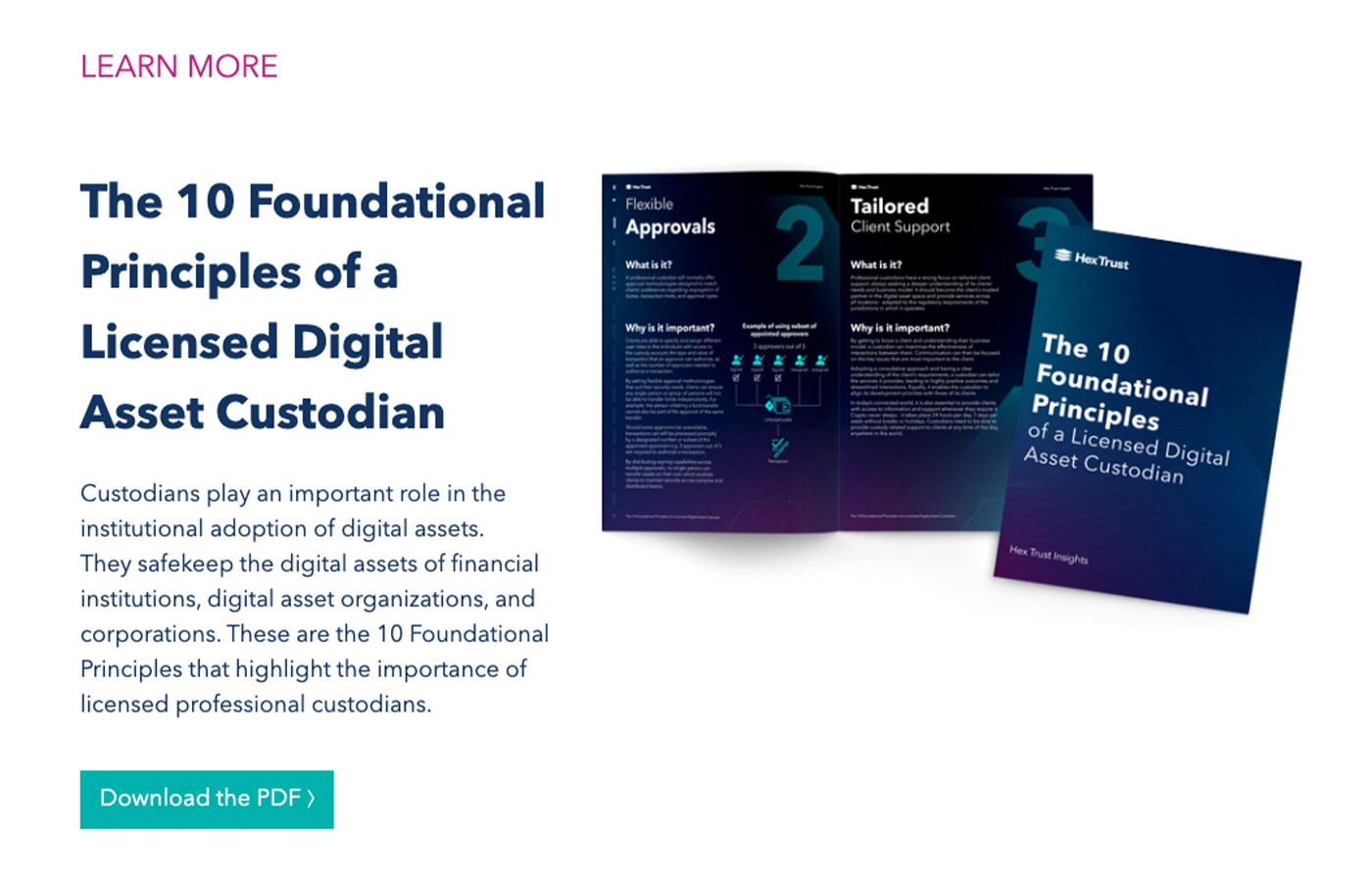 10 Principles Booklet: Web Banner: Learn More, Download the PDF